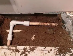 偃师测漏水哪家好