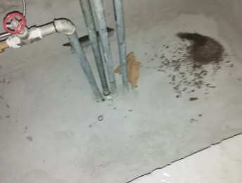 偃师卫生间测漏水价格明细