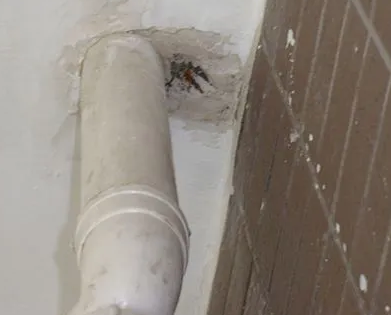 偃师漏水检测哪家好